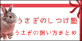 うさぎのしつけ塾[5500円コース]