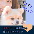 デコプリテクニック(5500円コース)(au)