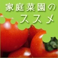 家庭菜園のススメ(5500円コース)(au)